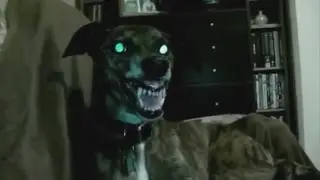 Когда начальник зол )))