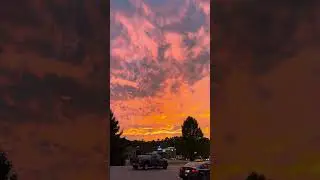 Pigeon Forge, TN #shortvideo #shortsvideo #shorts #short