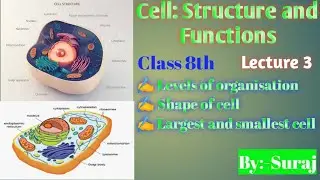 #Cell