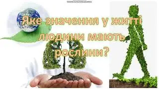 Яке значення в житті людей мають рослини? Я досліджую світ. 3 клас