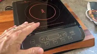 Off-Grid Test: Running an Electric Induction Unit with a 1000 watt Solar Generator