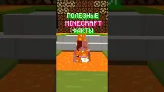 Полезные Майнкрафт Факты Для Новичков #майнкрафтфакты #vanillasquad #minecraft #выживание #игра