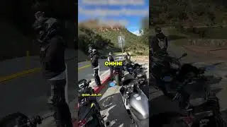 Porsche Runs From State Trooper Up Hill