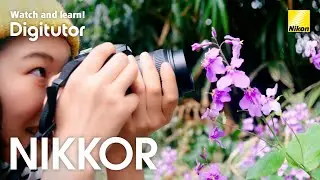 Taking attractive travel photos with a macro lens | Nikon Digitutor