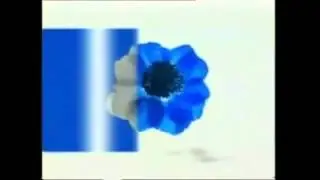 Заставки рекламы (ТВЦ, 2002-2004)  (Задом Наперёд)