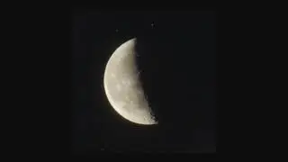 Cyter - Lunar