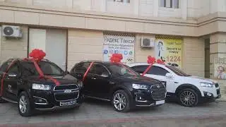 Конкурис Нукус 3 Каптива  NUKUS LATTO