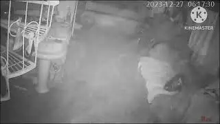 CCTV Records Fog Lahore #cctv #foggy #fog #weather #Lahore #advancetech #ahsanali