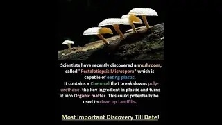 Interesting and Amazing facts in social media part-7.