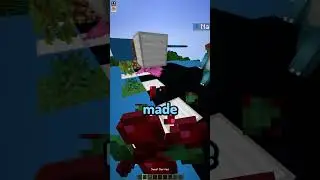 Minecraft Telepathy 48