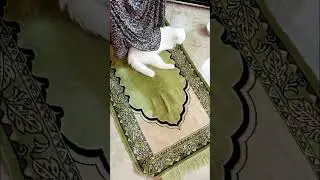 Посмотрите на это чудо! Наша Белоснежка- настоящая мусульманка! Альхьамдуьлиллах1! Всегда молится!!!