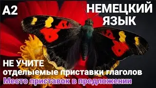 Отделяемые приставки глаголов. Почему их не стоит учить. И какое место они занимают в предложении.