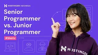 Senior Programmer vs. Junior Programmer 