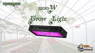 Missyee Full Spectrum 1200W LED Grow Light