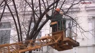 Поздравление работников ЖКХ Приморского района