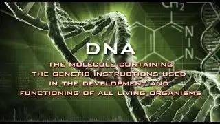 Programming of Life Pt 1 of 2