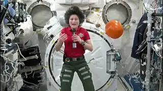 Happy Independence day || Greetings from International Space Station || #iss #india | Mr. Nobody