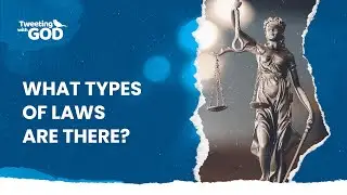 What types of laws are there?