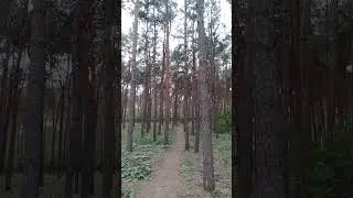 Парк Танаис Воронеж Россия май 2024 обзор