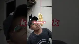 The Origin of the 
