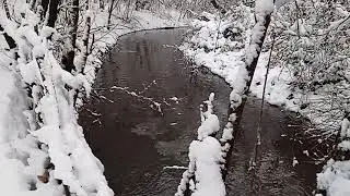 В Селезнёвский парк пришла зима