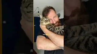 Новый интерьер - новый я