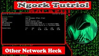 how to use ngrok on kali linux