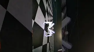 обзор на нишики