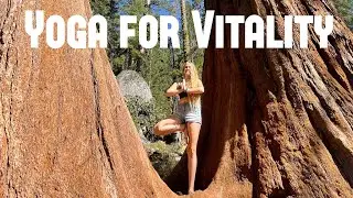 Yoga for Vitality 🌈