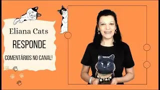 Eliana Cats Responde 