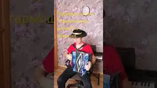 Подбираем песню на гармошке. 