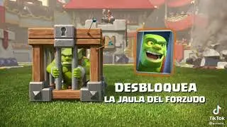 memardo