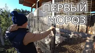 ЧТО С НОВЫМИ ПАННОНАМИ?!