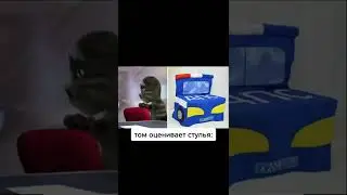 том оценивает стулья