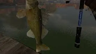 Fishing Planet 2021 - 4th July - Fish Tag coordinates 1- Complete