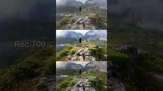Osmo Pocket 3📷D-Log M vs Rec.709 vs Graded