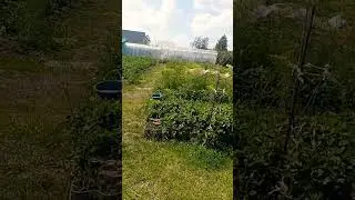 Ну и пекло. работа остановилась