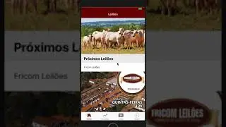 IONIC ERROR SCROLLING