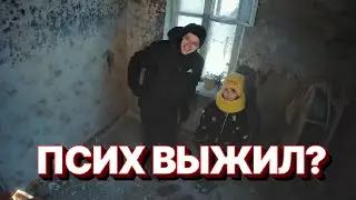 ПСИХ ВЕРНУЛСЯ? ПСИХ С КАНАЛА МАКС ВАЩЕНКО ВЫЖИЛ!