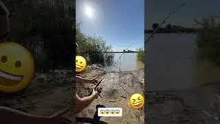 Е та-та-та! Вот это поклёвка!