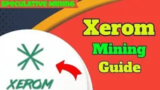 Xerom | Speculative Mining | Ethash ALGO