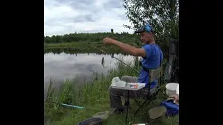 Рибалка на поплавок.🎣 Гарний клев білої риби, на опариша і хліб.🐟🐟🐟