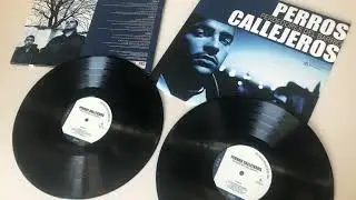 25 AÑOS EN VINILO - PERROS CALLEJEROS 