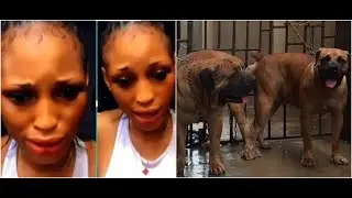 Lady who slept with Dog for N1.5 Millions in Lagos opens up (Watch)
