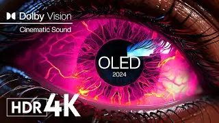 CRUSHING COLORS Dolby Vision - Animals 4K UHD 60fps with Cinematic Sound (dynamic color)