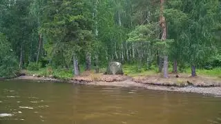 Мобильная баня СТЭК в лесу