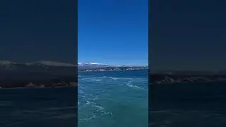 Пицунда зимой шортс Shorts 6