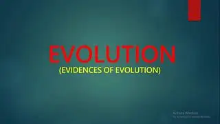 VIDEO ON EVIDENCES OF EVOLUTION by Gloria Robert