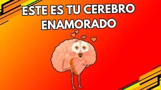 ¿QUE PASA en tu CEREBRO Cuando AMAS?