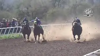 Mix LOS ALAMEÑOS DE LA SIERRA